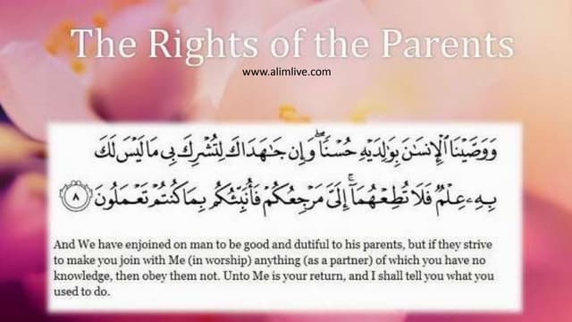 What Are the Rights of Parents in Islam?